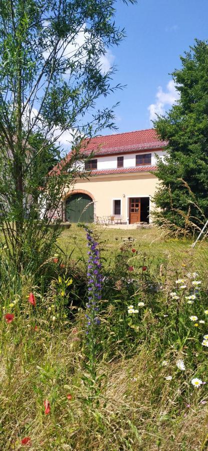 Ferienhof-Kuehn Hochkirch Eksteriør billede